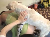 White k9 fucks a horny babe on the couch
